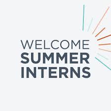 Welcome to Our Fabulous New Summer Interns