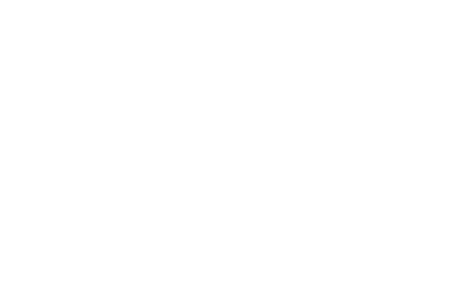 Rising Star Award at the Richmond International Film Festival